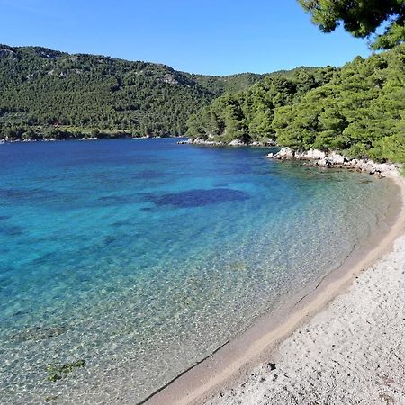 Apartments With A Parking Space Zuljana, Peljesac - 4573 Екстериор снимка