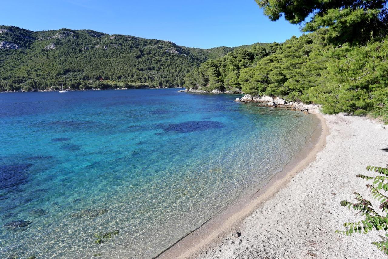 Apartments With A Parking Space Zuljana, Peljesac - 4573 Екстериор снимка
